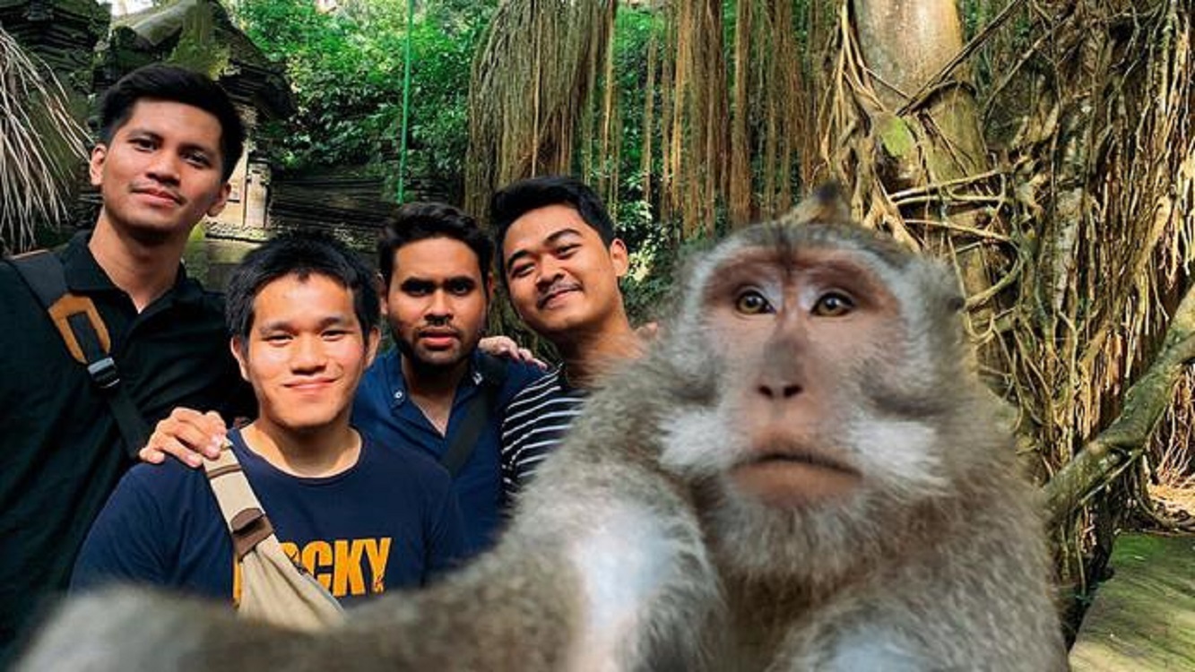 Cara Mendapatkan Filter Monyet Di Instagram